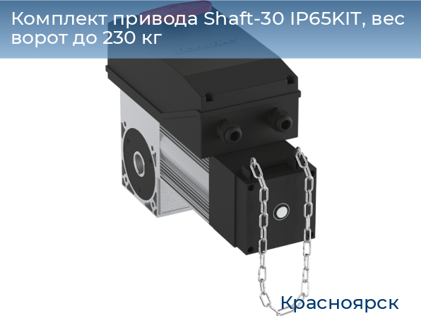 Комплект привода Shaft-30 IP65KIT, вес ворот до 230 кг, www.krasnoyarsk.doorhan.ru
