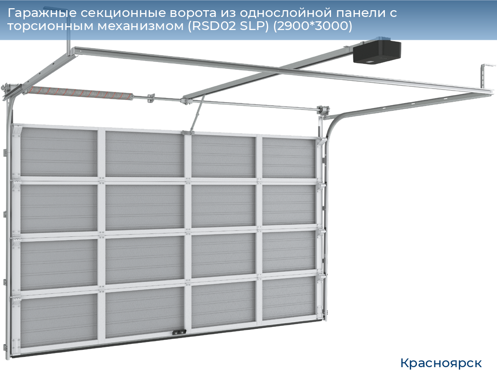 Гаражные секционные ворота из однослойной панели с торсионным механизмом (RSD02 SLP) (2900*3000), www.krasnoyarsk.doorhan.ru